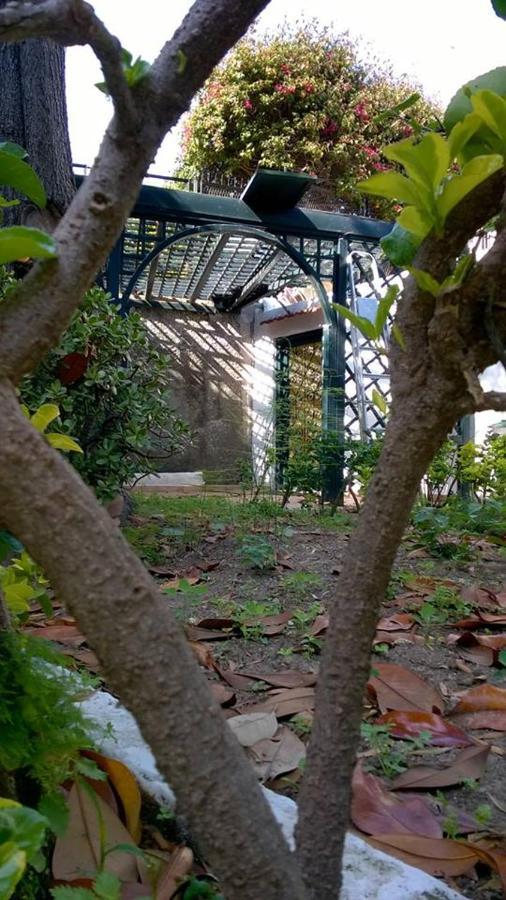 Villa Iscla Maison D'Hotes Ischia Bagian luar foto