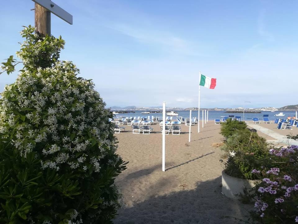 Villa Iscla Maison D'Hotes Ischia Bagian luar foto